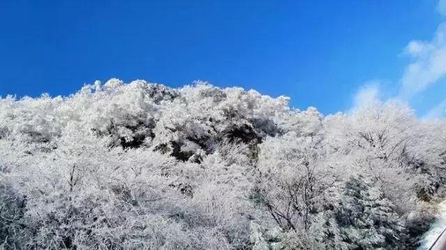 不是所有高筋面粉都能做面包，照这个配方做拉丝完美，胜过烘焙店游戏画面
