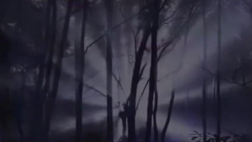 闲工谈哈尔滨的冰雪奇缘：不仅是旅游热潮，更是就业新机遇