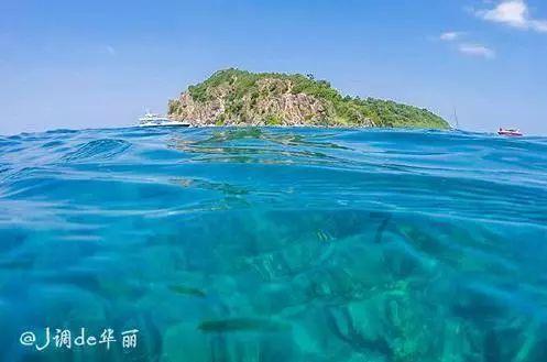 超级坦克消灭僵尸