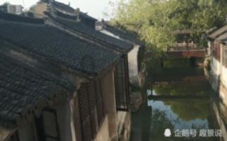 救援蓝鸦